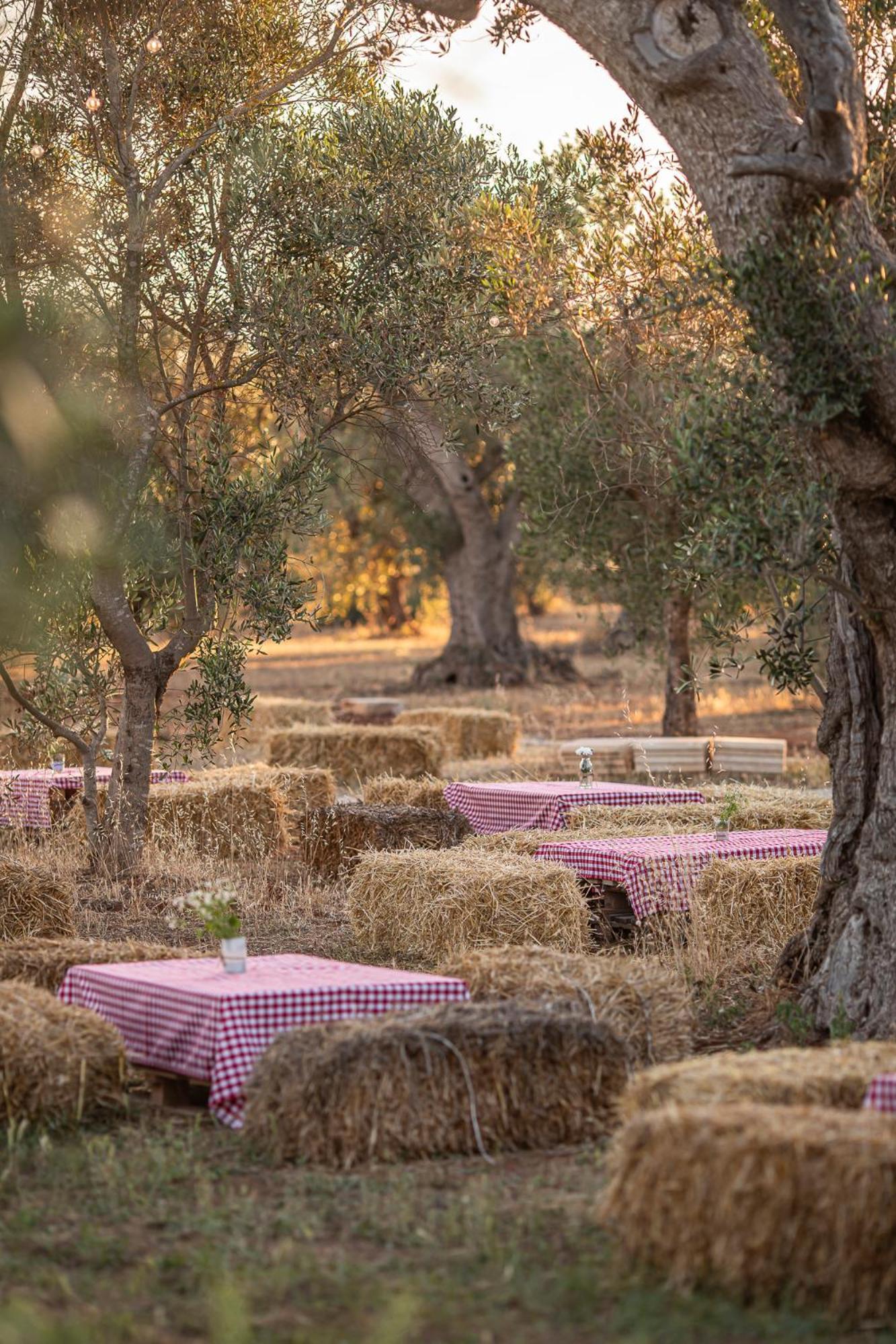 Le Chiese Azienda Bio Agri Turistica San Pietro in Lama Экстерьер фото